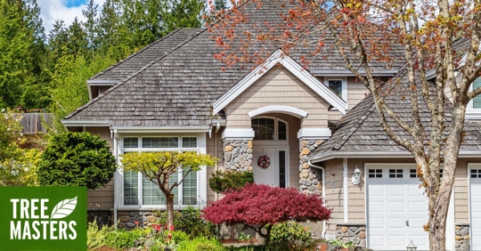 House with trees in yard.
