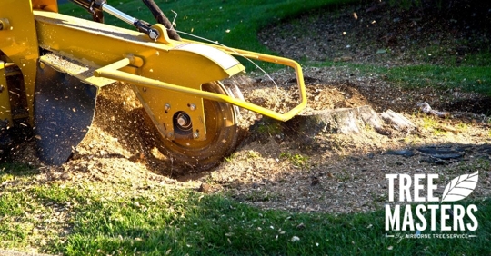 Removing tree stump.
