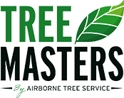 Tree Masters